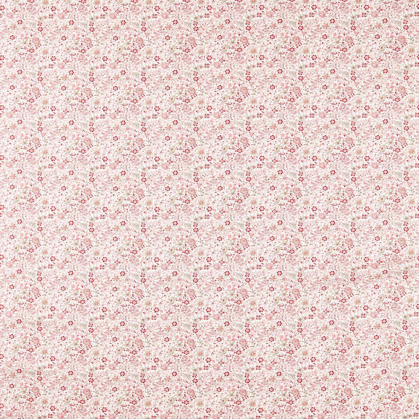 F1811/01 Gamthi Indira Blush Fabric by Clarke and Clarke