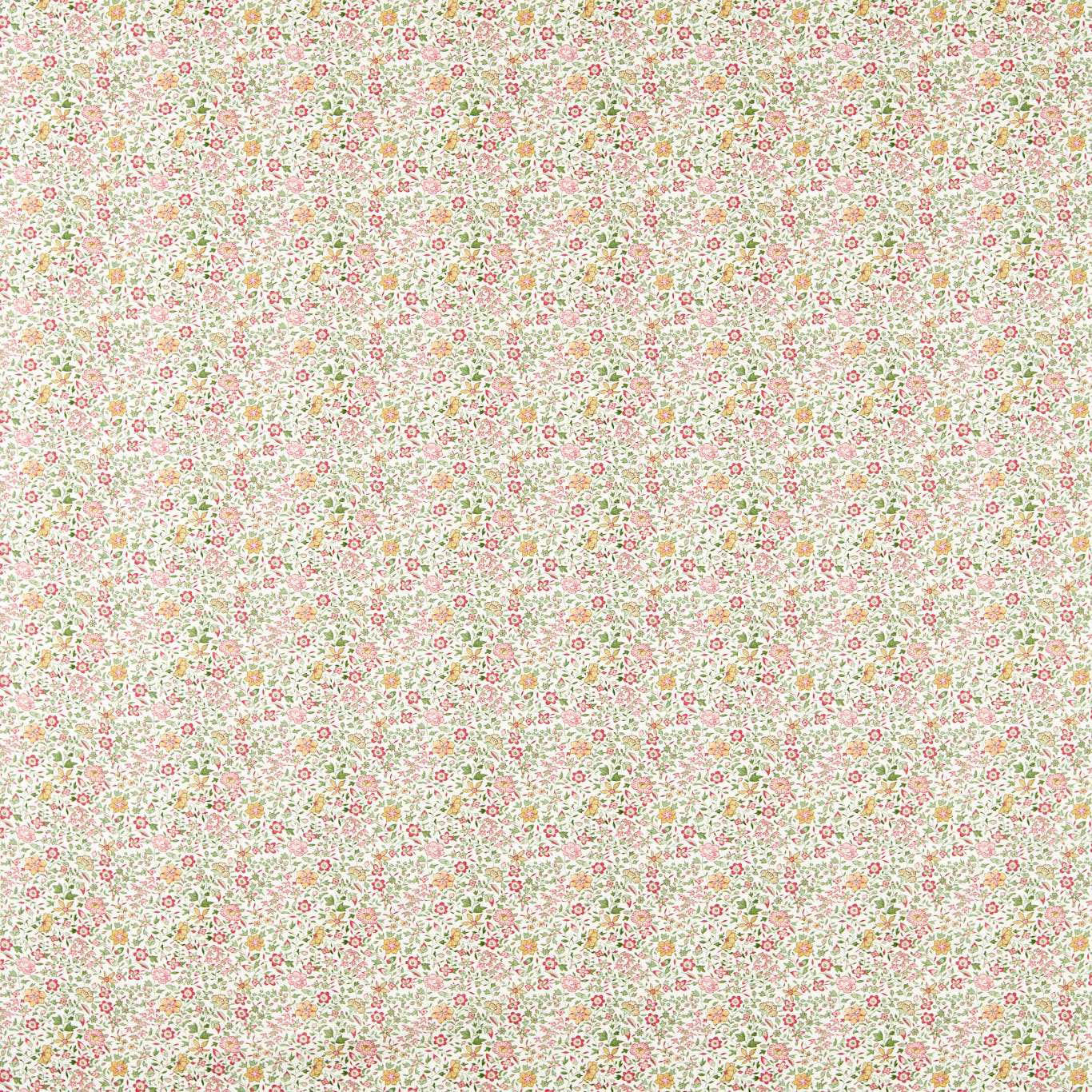 F1811/03 Gamthi Indira Sage/Blush Fabric by Clarke and Clarke