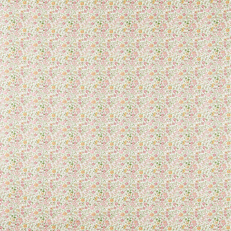 F1811/03 Gamthi Indira Sage/Blush Fabric by Clarke and Clarke