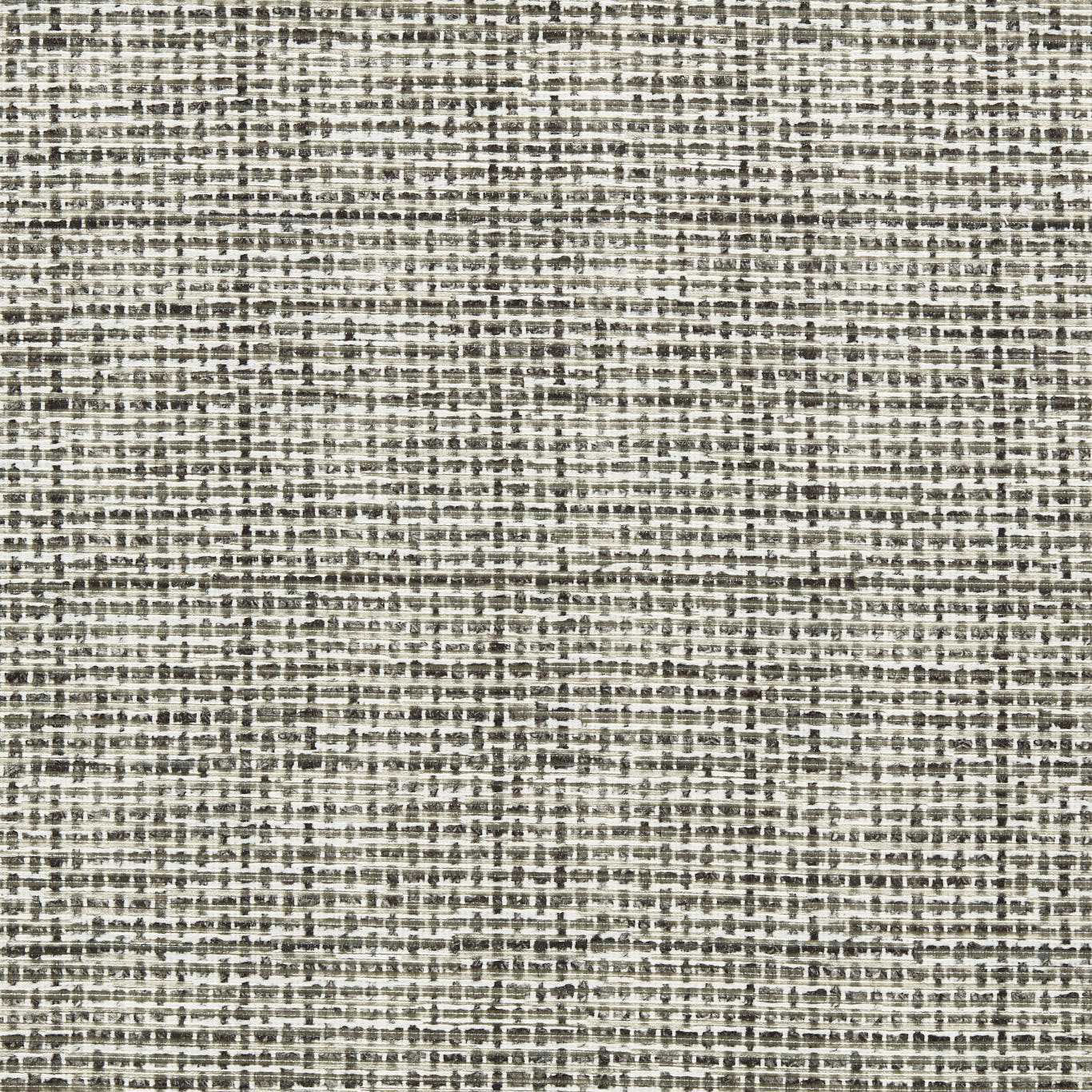 F1815/01 Atrio Espectro Weaves Dove/Noir Fabric by Clarke and Clarke