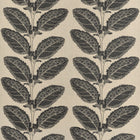 F912038 Lacinato Black Vista Fabric by Thibaut
