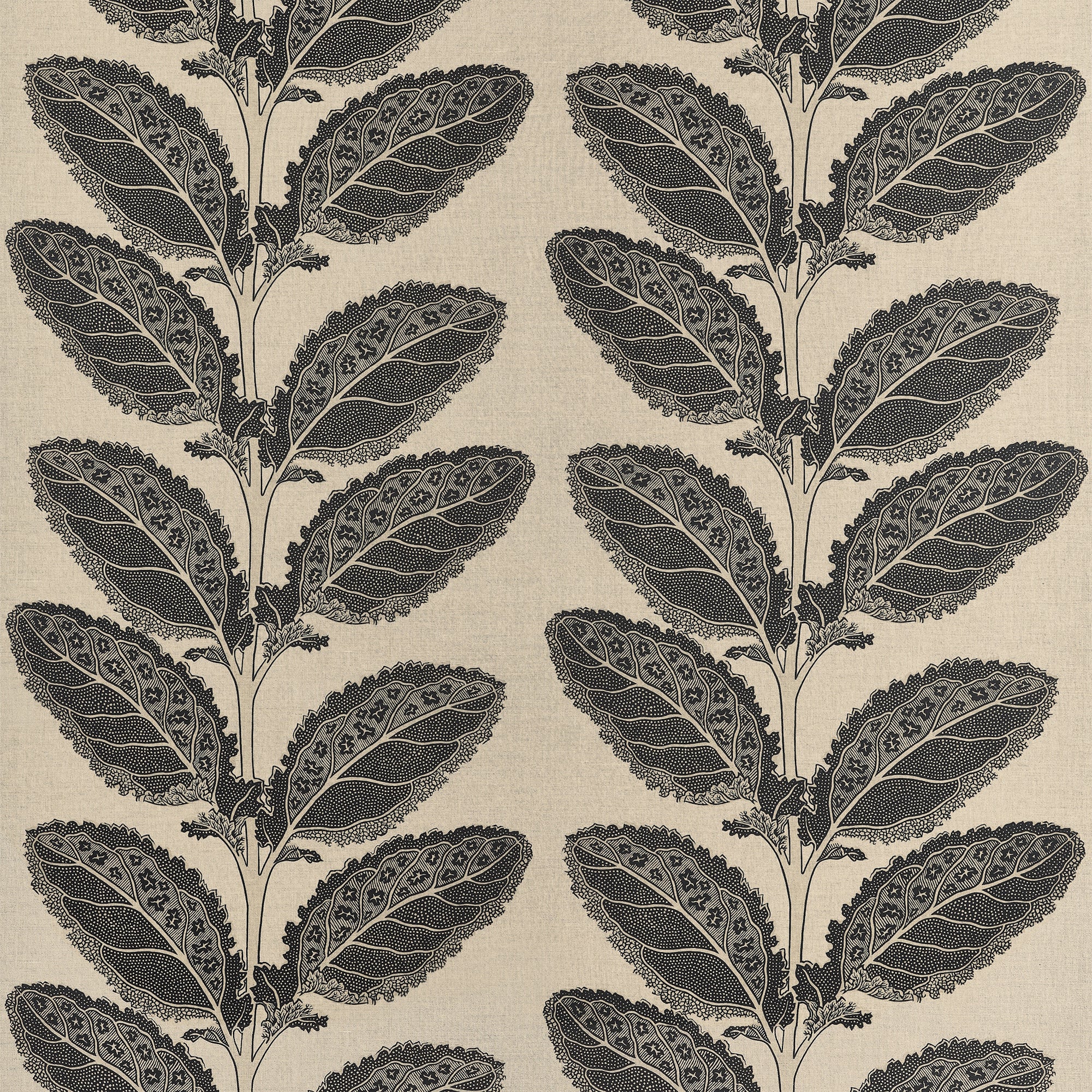 F912038 Lacinato Black Vista Fabric by Thibaut