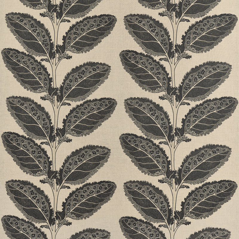 F912038 Lacinato Black Vista Fabric by Thibaut
