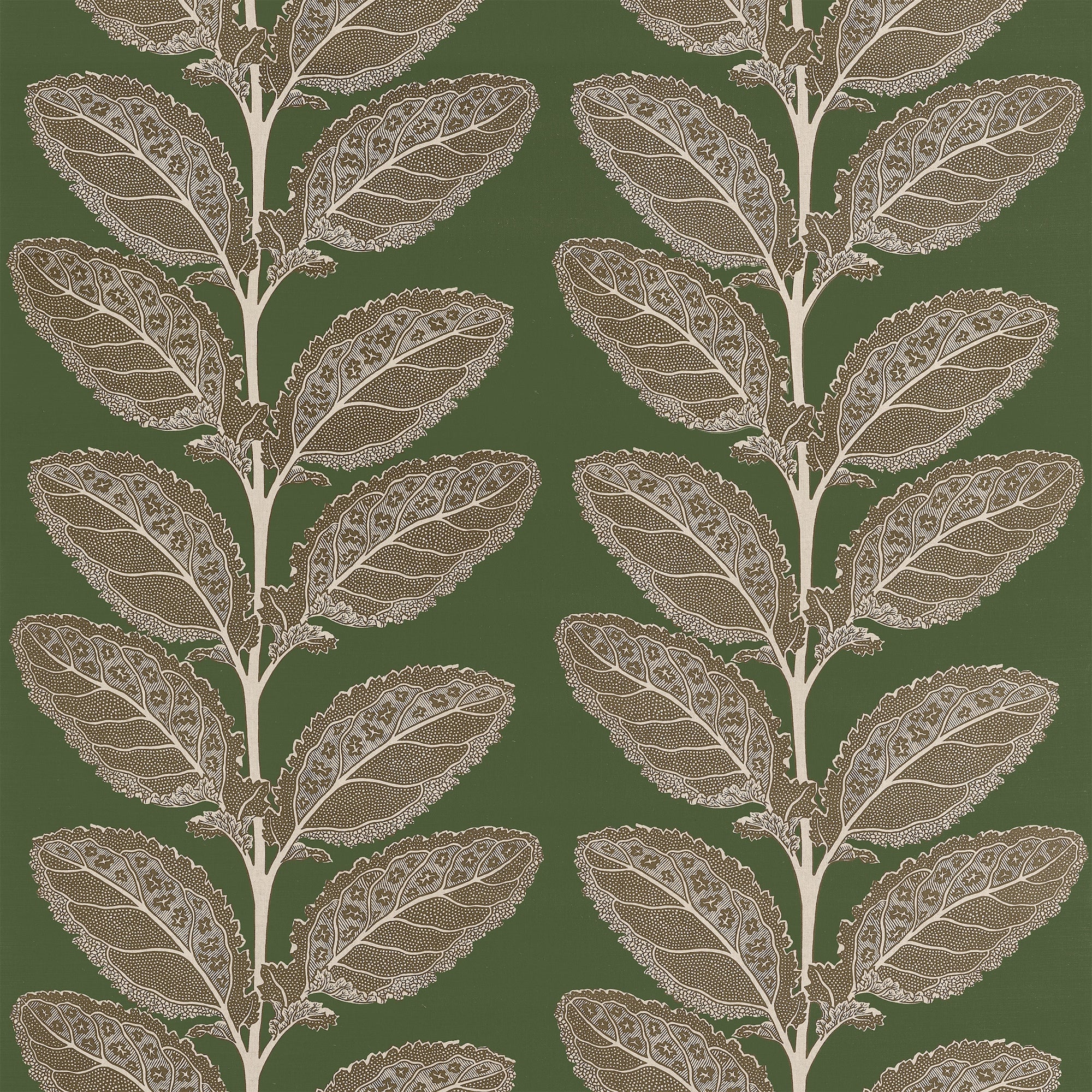 F912040 Lacinato Wild Sage Vista Fabric by Thibaut