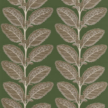 F912040 Lacinato Wild Sage Vista Fabric by Thibaut