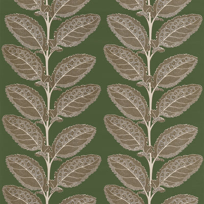 Lacinato Wild Sage Vista Fabric by Thibaut