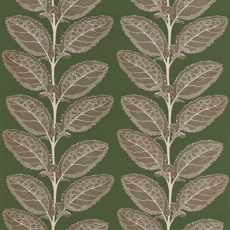 F912040 Lacinato Wild Sage Vista Fabric by Thibaut