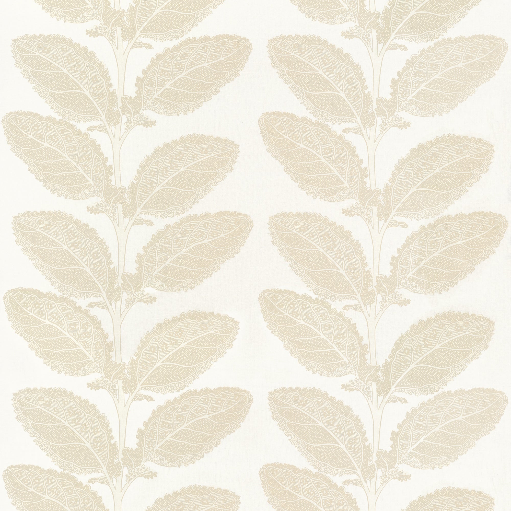 F912041 Lacinato Birch Vista Fabric by Thibaut