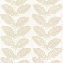 F912041 Lacinato Birch Vista Fabric by Thibaut