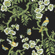Yukio Black Eden Fabric by Thibaut