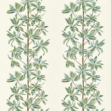 F945034 Mangrove Tree Sage Wanderlust Fabric by Thibaut