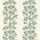 Mangrove Tree Sage Wanderlust Fabric by Thibaut