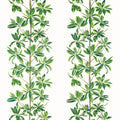 Mangrove Tree Green and White Wanderlust Fabric by Thibaut