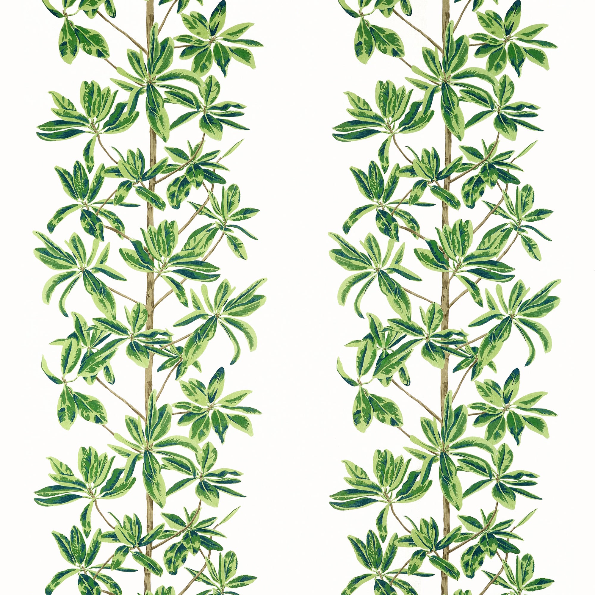 F945035 Mangrove Tree Green and White Wanderlust Fabric by Thibaut