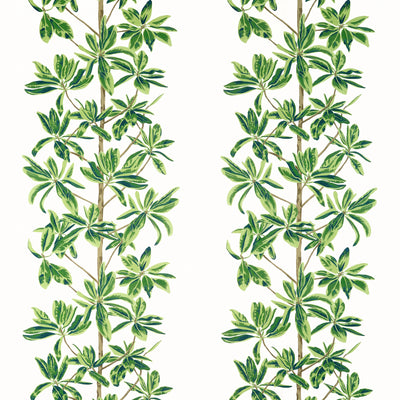 Mangrove Tree Green and White Wanderlust Fabric by Thibaut