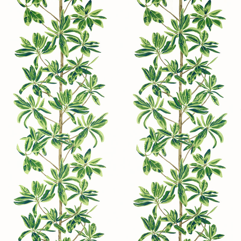 F945035 Mangrove Tree Green and White Wanderlust Fabric by Thibaut