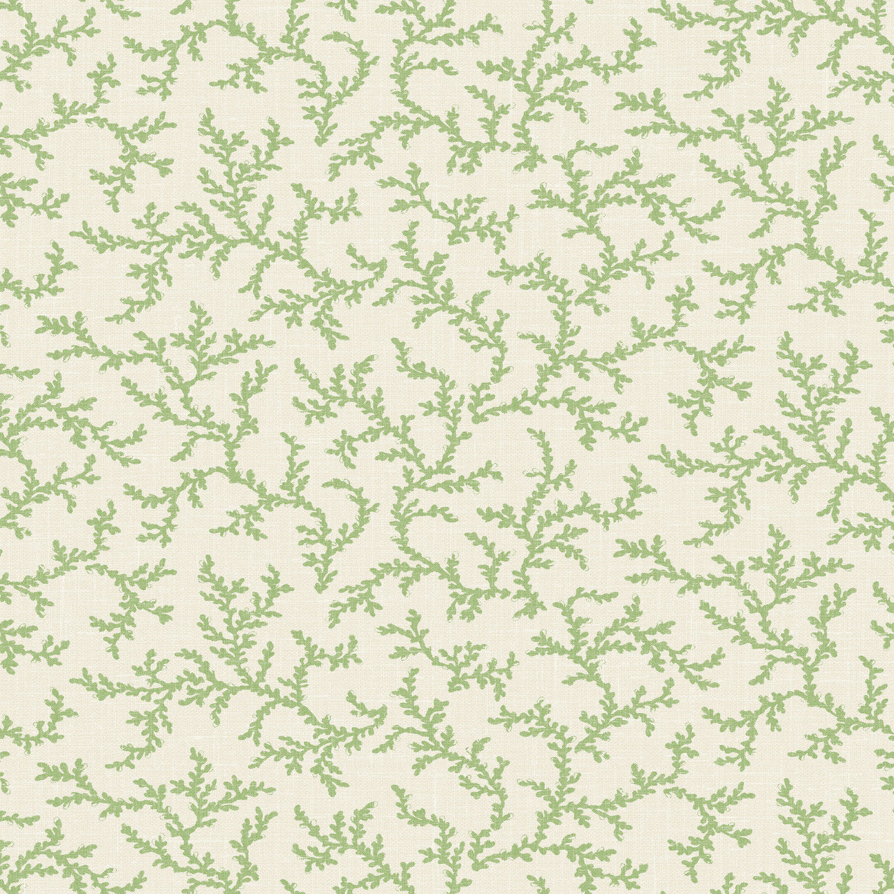FC62104 Corail French Country Corn Stalk Wallpaper By Galerie
