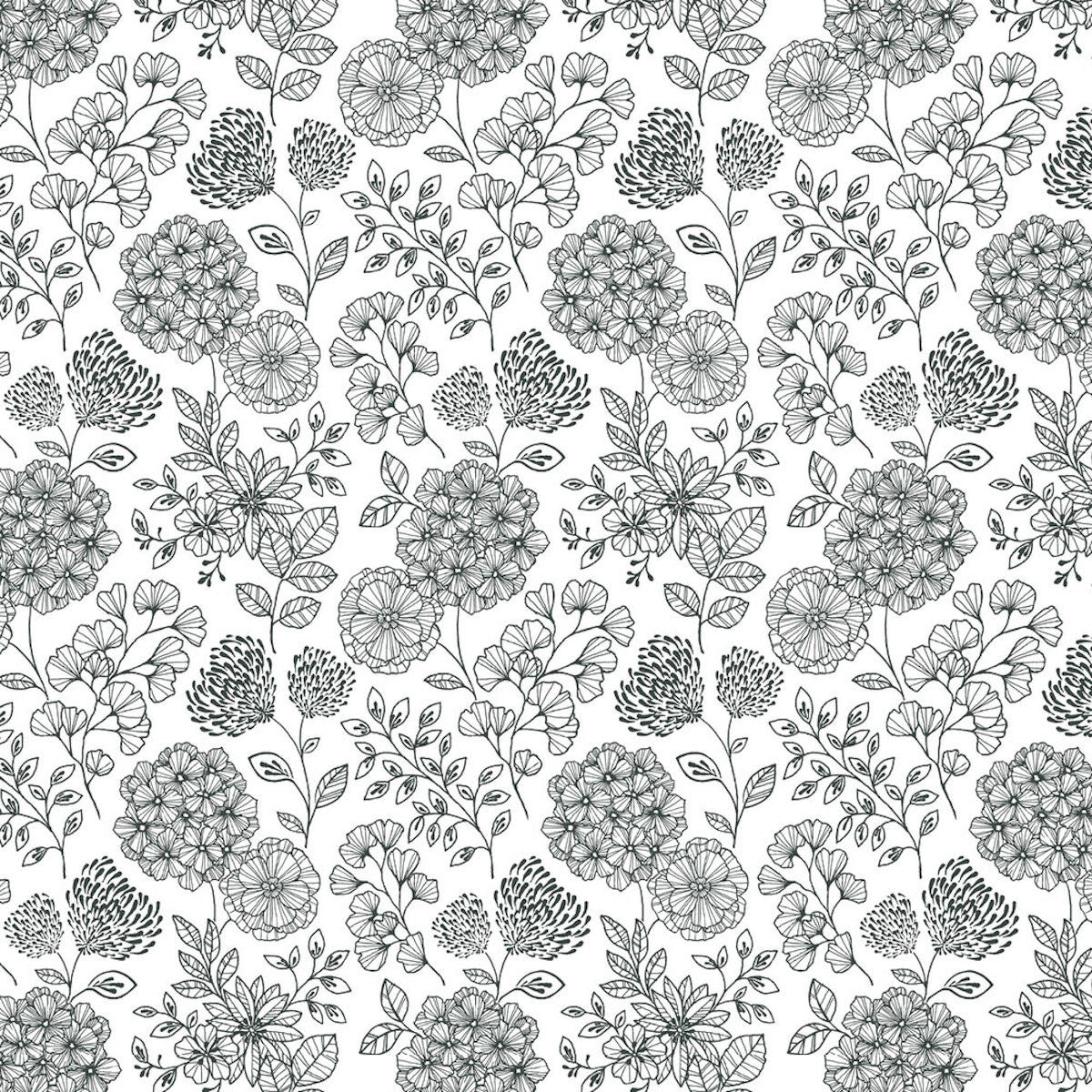 FD26203 Ada Scott Living II by Drew & Jonathan Black and White Wallpaper by A Street Prints
