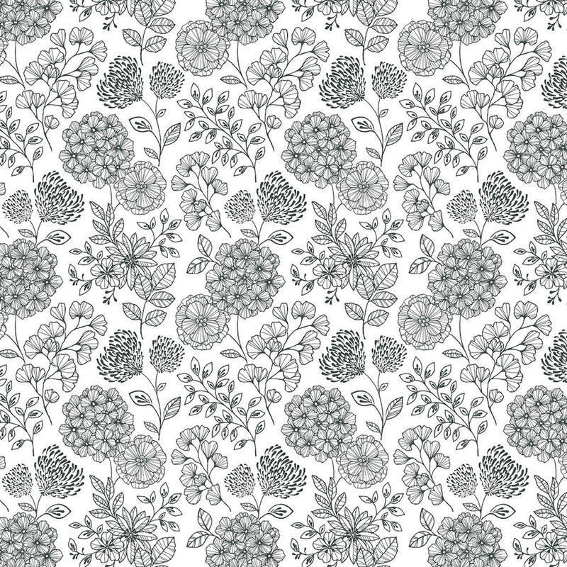 FD26203 Ada Scott Living II by Drew & Jonathan Black and White Wallpaper by A Street Prints