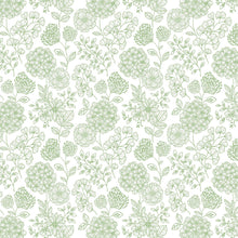 FD26204 Ada Scott Living II by Drew & Jonathan Green Wallpaper by A Street Prints