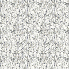 FD26238 Leandra Scott Living II by Drew & Jonathan Grey Wallpaper by A Street Prints