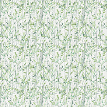 FD26241 Leandra Scott Living II by Drew & Jonathan Green Wallpaper by A Street Prints