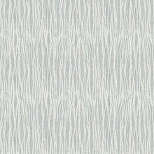 FD26250 Nazar Scott Living II by Drew & Jonathan Soft Grey Wallpaper by A Street Prints