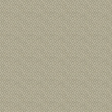 FD26289 Silas Scott Living II by Drew & Jonathan Taupe Wallpaper by A Street Prints