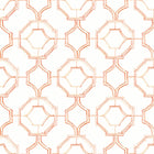 FD26317 Gallina Happy Coral Wallpaper by A Street Prints