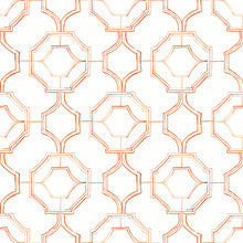 FD26317 Gallina Happy Coral Wallpaper by A Street Prints