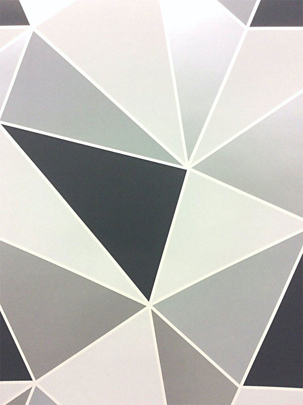 FD41994 Apex Geometric Black and Silver Wallpaper by Fine DŽcor