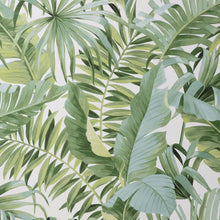 FD42850 Maui Tropical Green Wallpaper by Fine Decor