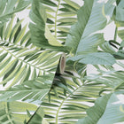 FD42850 Maui Tropical Green Wallpaper by Fine Decor