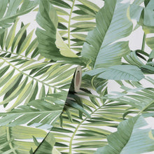 FD42850 Maui Tropical Green Wallpaper by Fine Decor
