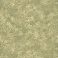 Mulberry Forest Misty Morning Country Walk Wallpaper by Mulberry Home