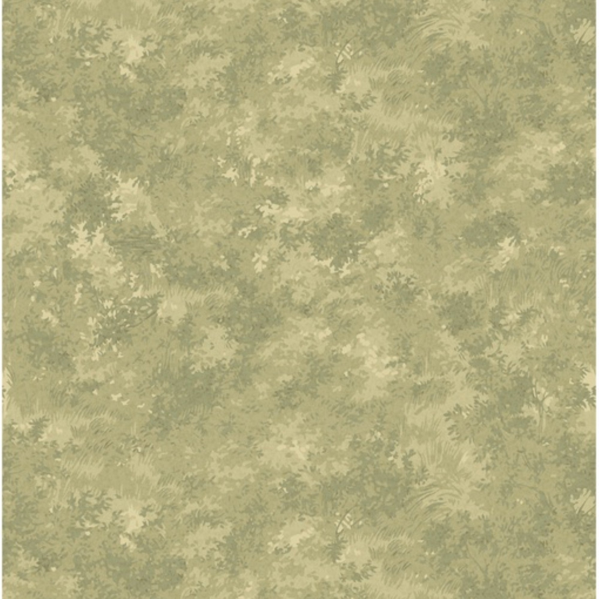 FG121.A52 Mulberry Forest Misty Morning Country Walk Wallpaper by Mulb