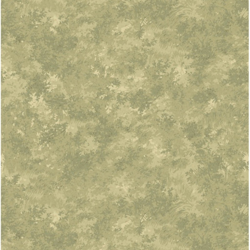 FG121.A52 Mulberry Forest Misty Morning Country Walk Wallpaper by Mulb
