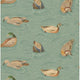 Duck Pond Teal Country Walk Wallpaper by Mulberry Home