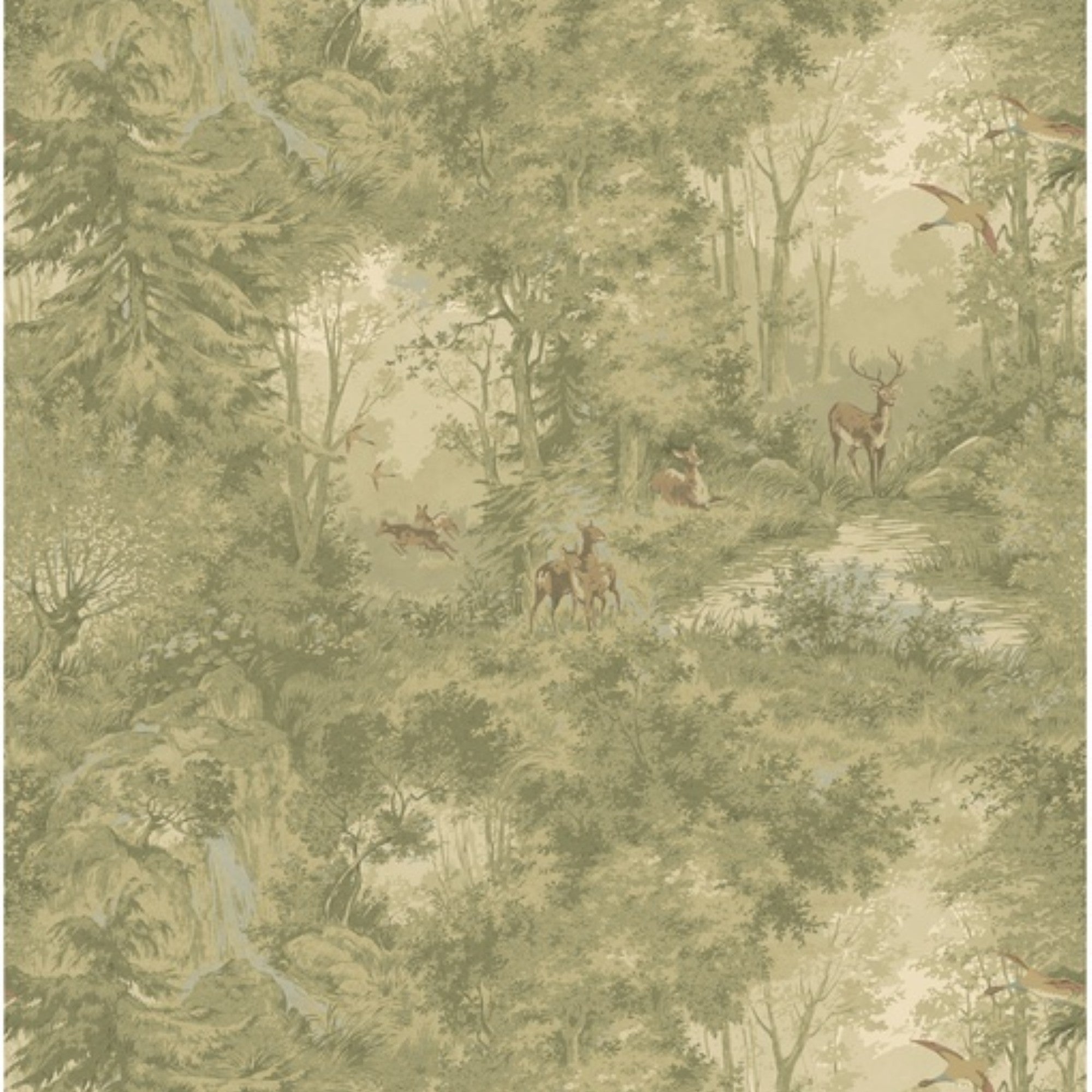 FG124.A52 Mulberry Woodland Misty Morning Country Walk Wallpaper by Mu