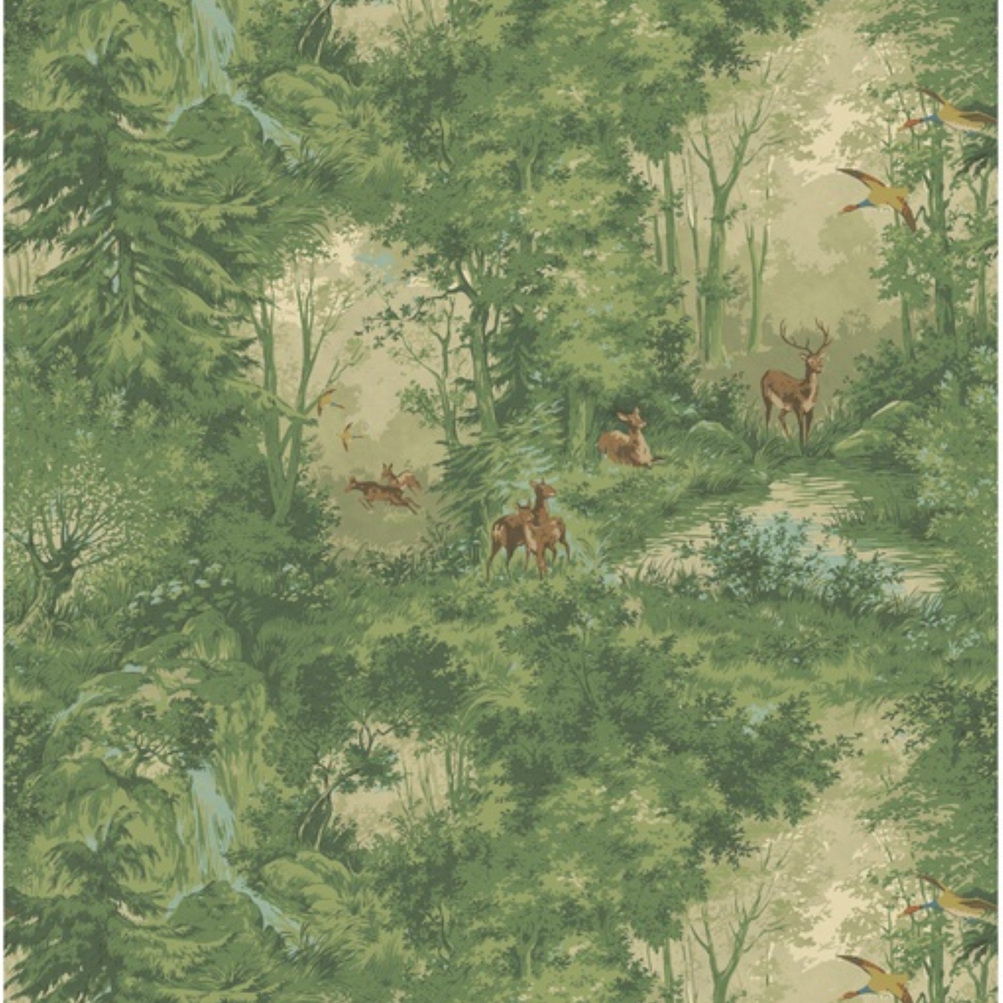 FG124.S115 Mulberry Woodland Spring Country Walk Wallpaper by Mulberry