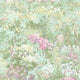 Wild Flower French Impressionist Wallpaper by Today Interiors