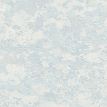 FJ30308 Lichen Transition Wallpaper by Today Interiors