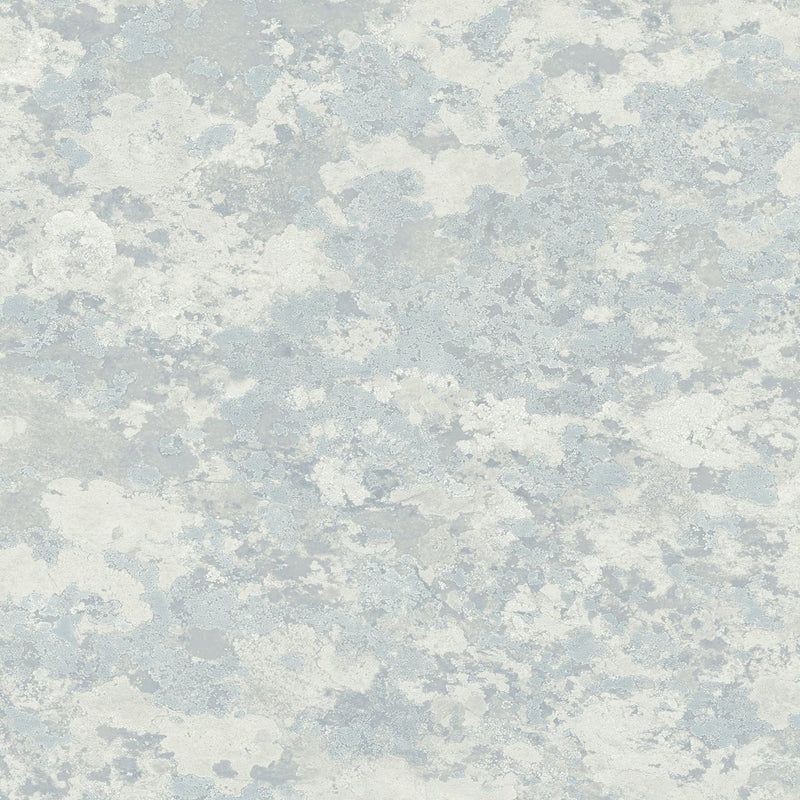 FJ30312 Lichen Transition Wallpaper by Today Interiors