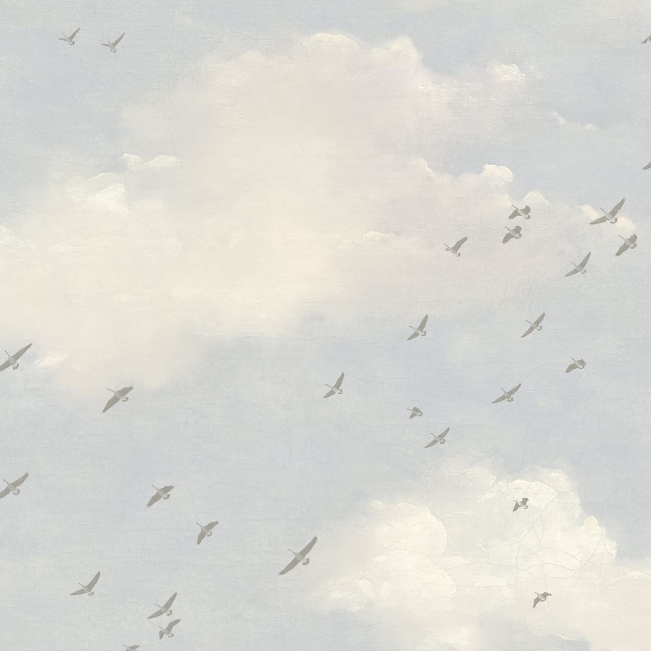 FJ30801 Fly South Transition Wallpaper by Today Interiors