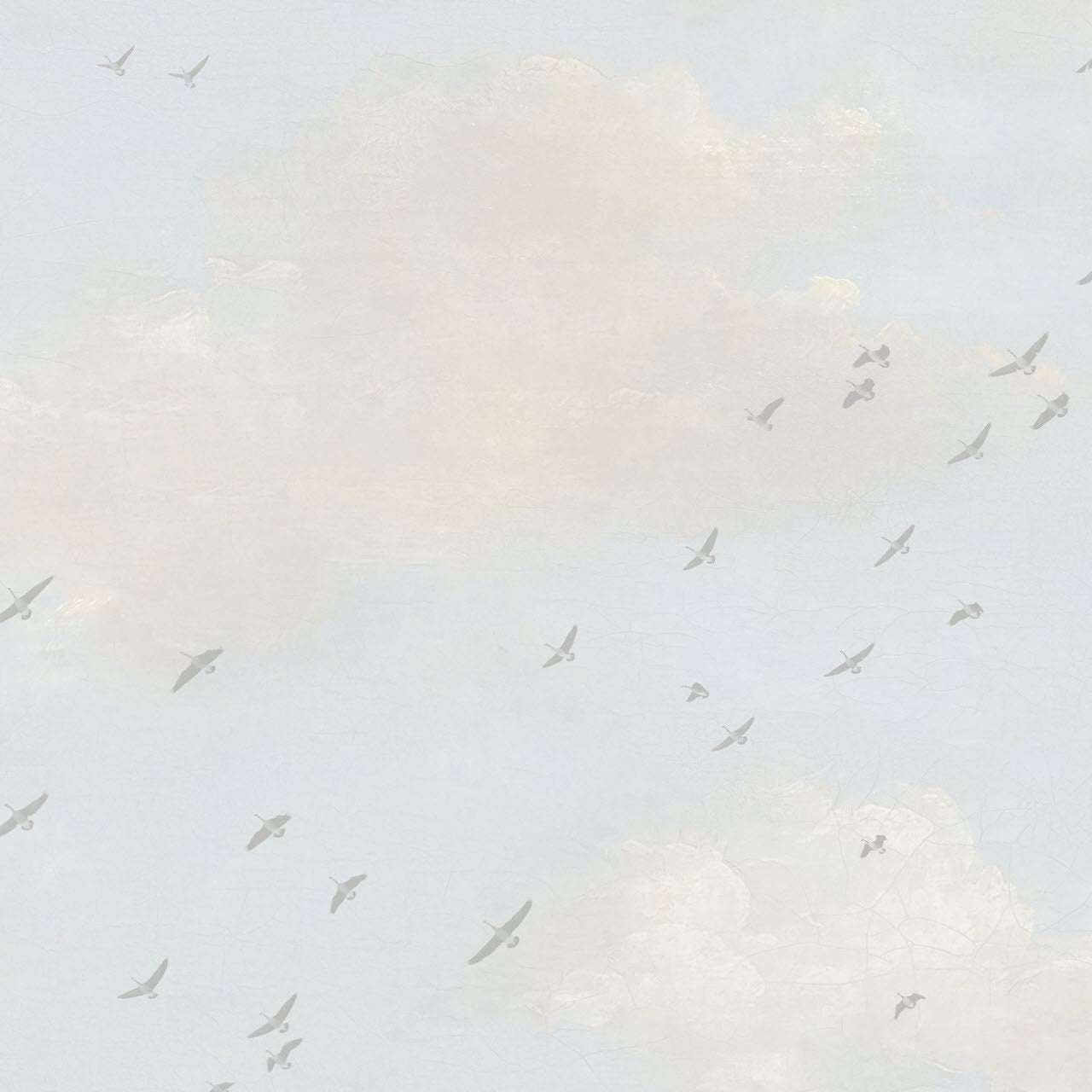 FJ30807 Fly South Transition Wallpaper by Today Interiors