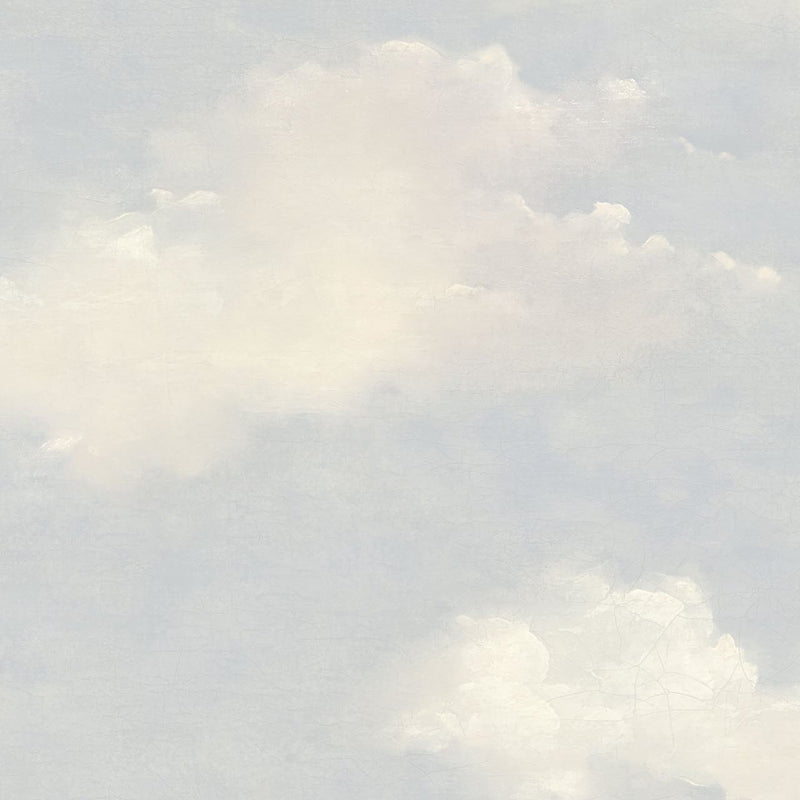 FJ30901 Westerly Transition Wallpaper by Today Interiors