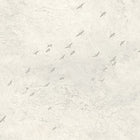 FJ31005 Fly North Transition Wallpaper by Today Interiors