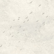 FJ31005 Fly North Transition Wallpaper by Today Interiors