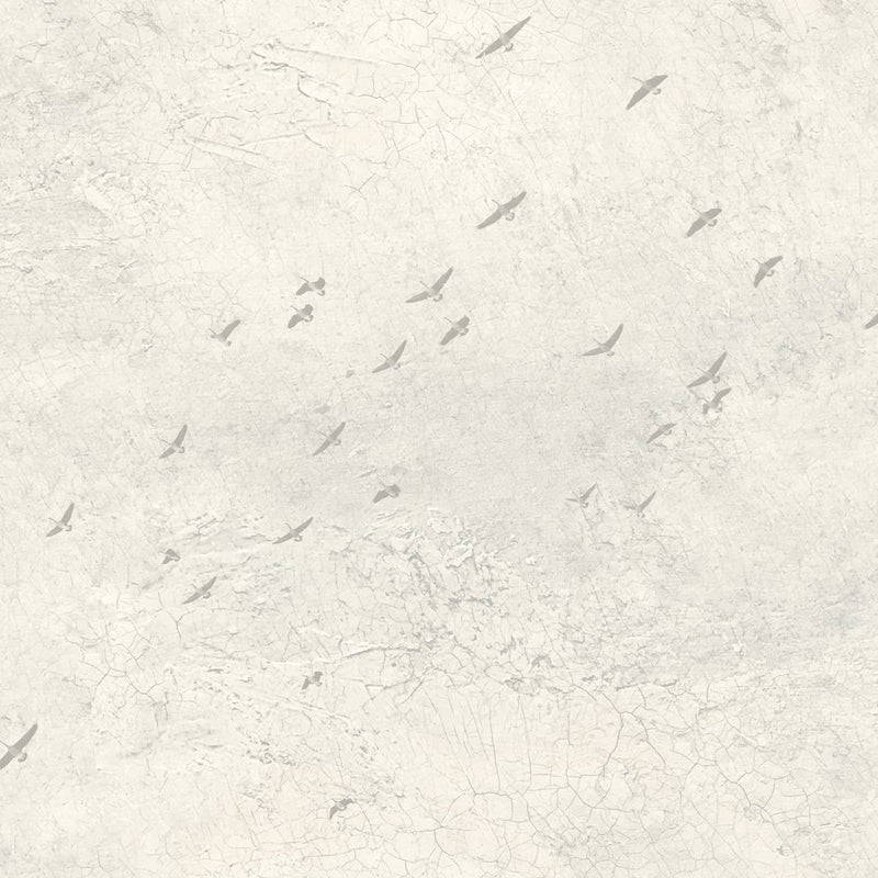 FJ31005 Fly North Transition Wallpaper by Today Interiors