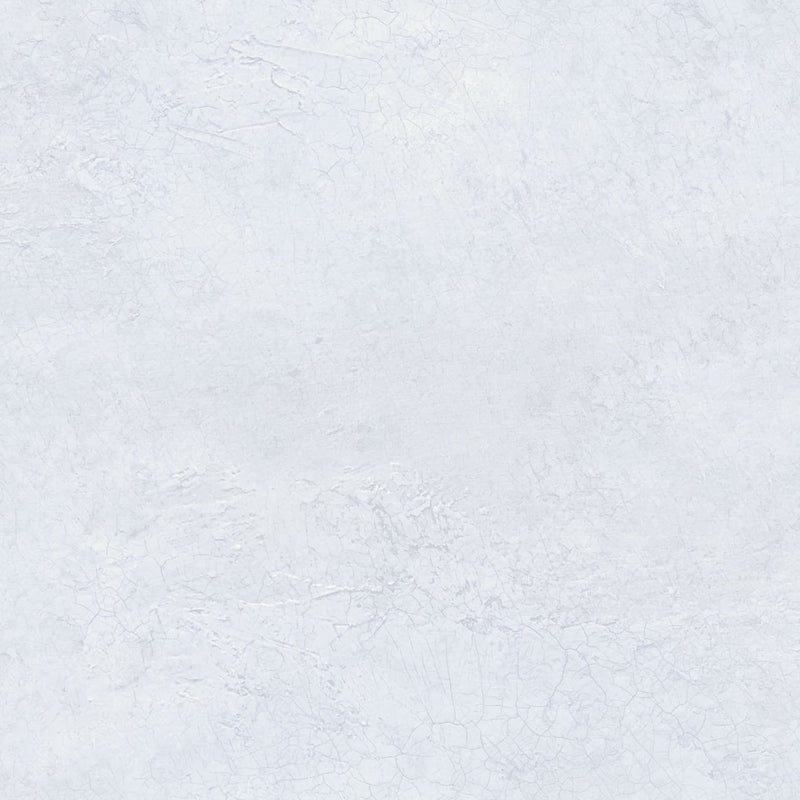 FJ31104 North Transition Wallpaper by Today Interiors